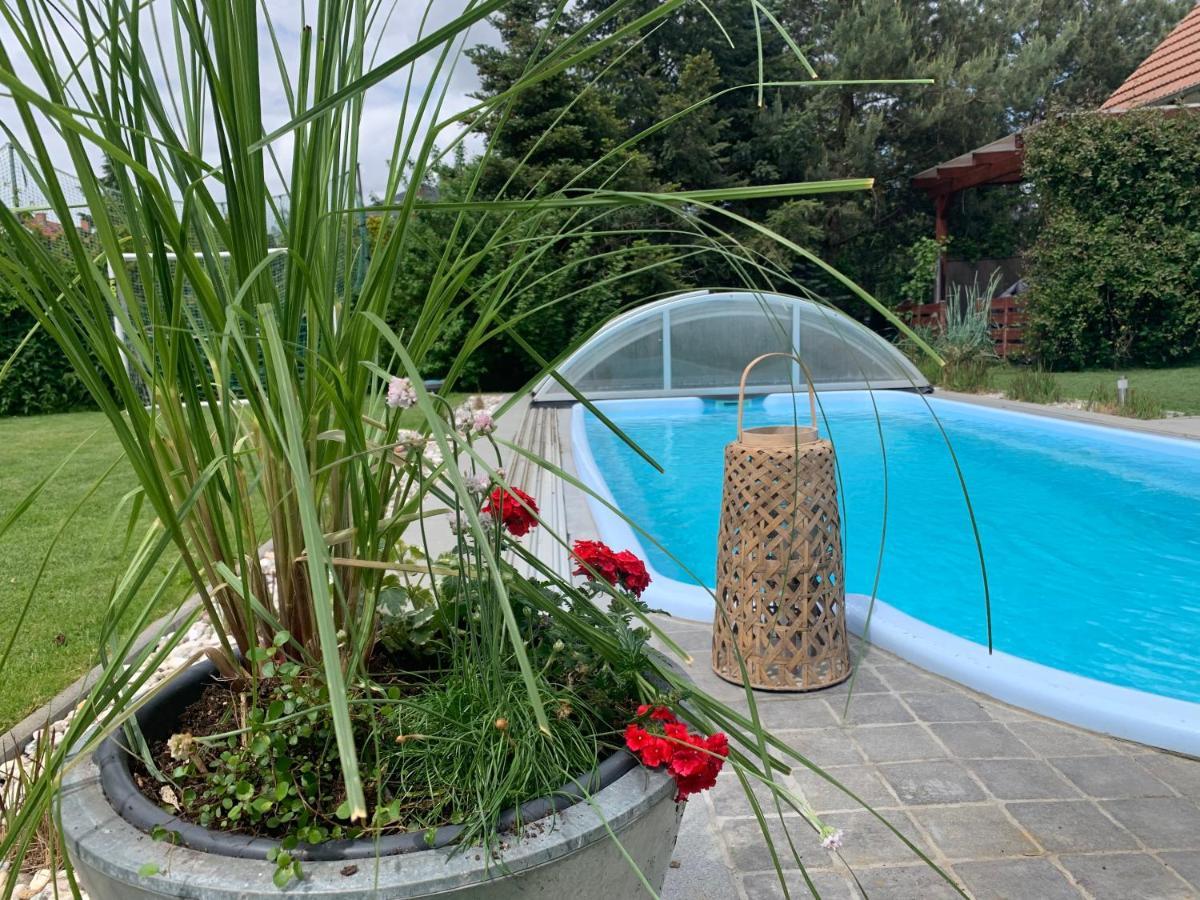 Pool&Lake Holiday Home Markkleeberg Buitenkant foto